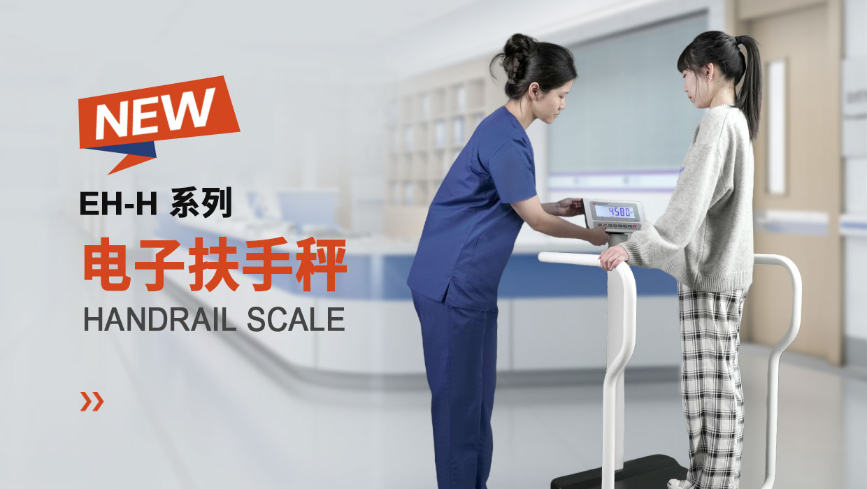 handrail scale
